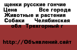 щенки русские гончие › Цена ­ 4 000 - Все города Животные и растения » Собаки   . Челябинская обл.,Трехгорный г.